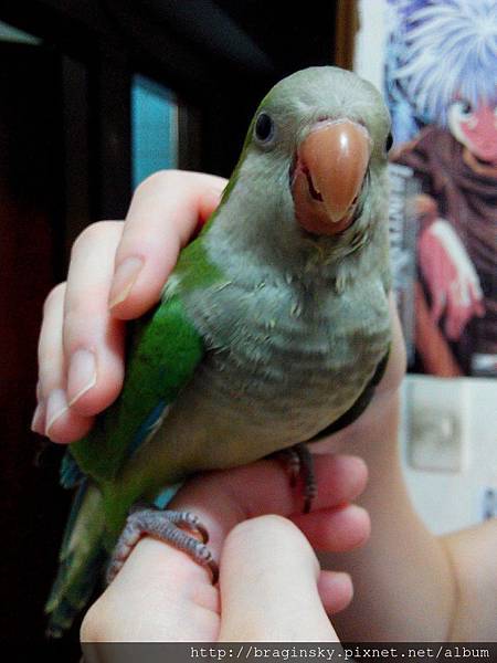 20140706072天