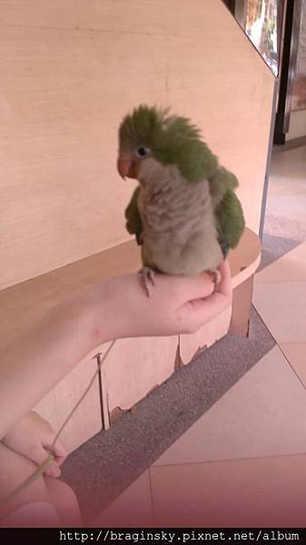 20140614050天