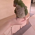 20140614050天