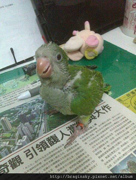 20140601037天