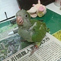 20140601037天
