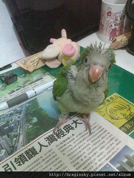 20140601037天歪頭