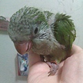 20140531036天
