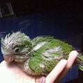 20140529034天