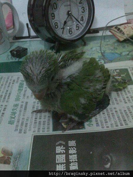 20140529034天肥
