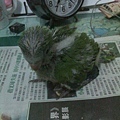 20140529034天肥