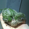 20140527032天