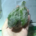 20140525030天