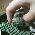 20140523028天