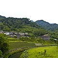 IMG_5282.jpg