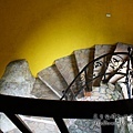 IMG_6274.jpg