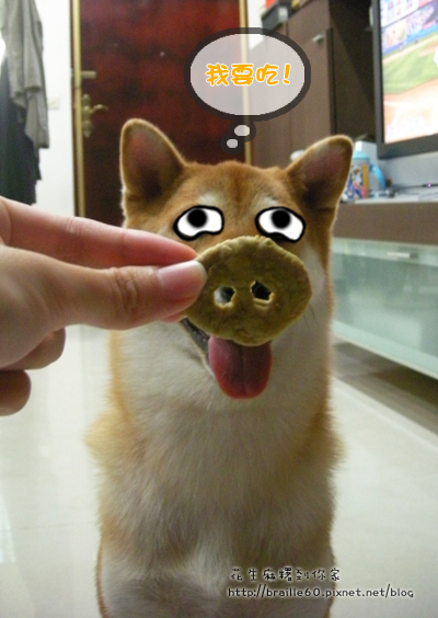 00.jpg