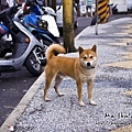 IMG_5406.jpg