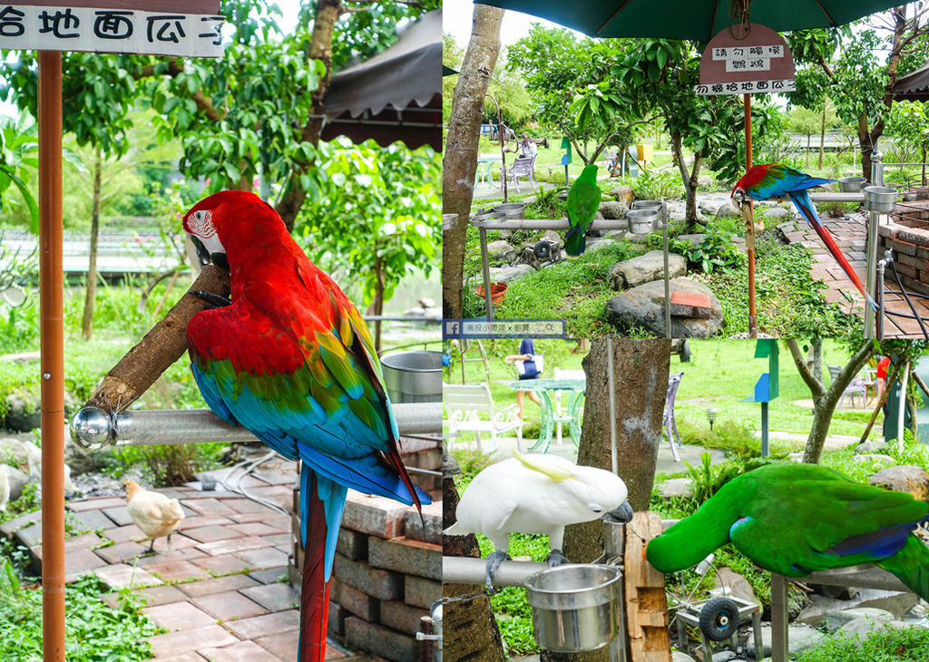 DSC05166-1_副本.jpg DSC05166-1_副本.jpg