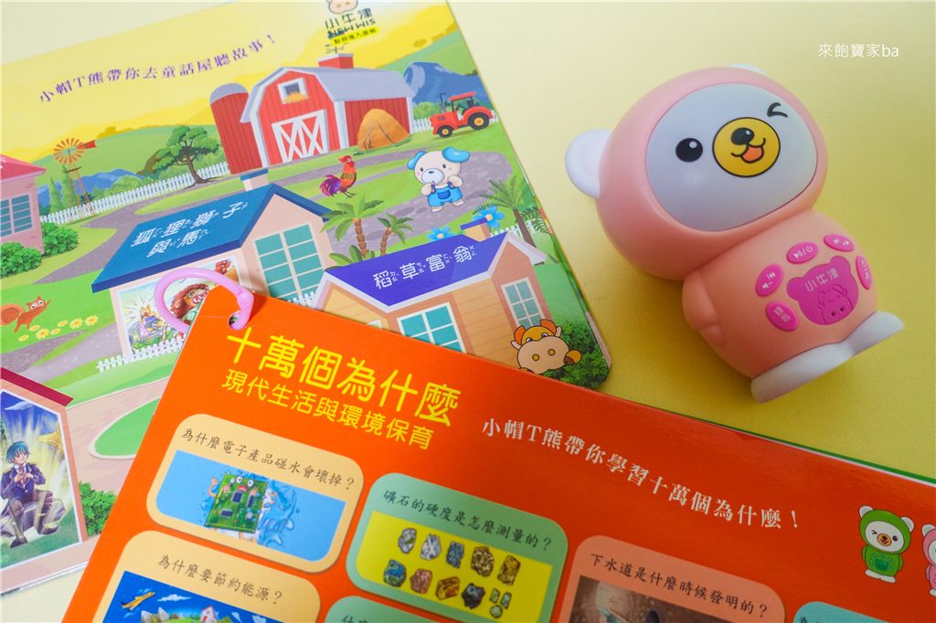 小牛津帽T熊-5.jpg
