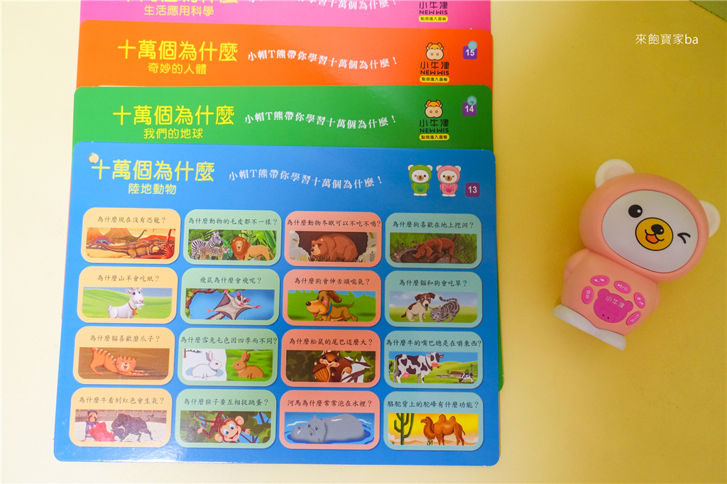 小牛津帽T熊-6.jpg