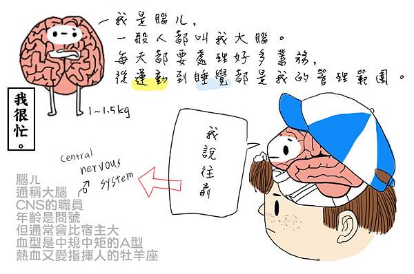 104.5.4腦ㄦ自我介紹