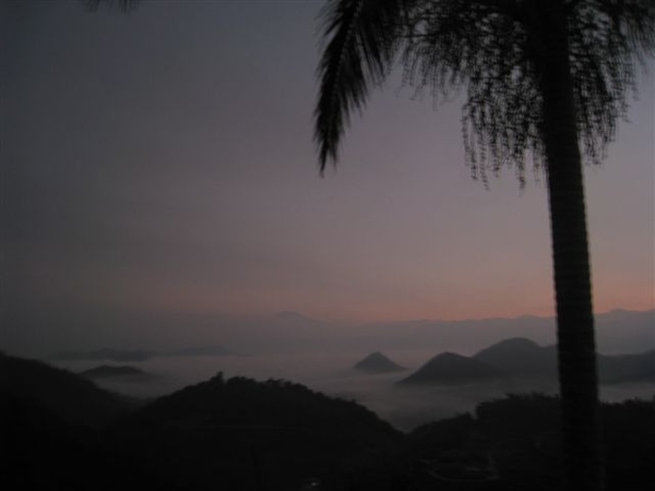 IMG_4350.jpg