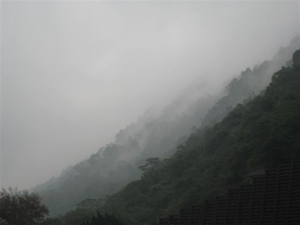 IMG_4536.jpg