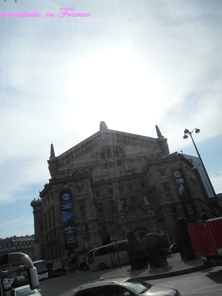 SAM_3146