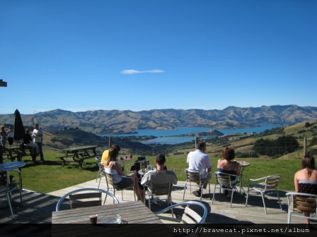 IMG_0346 Akaroa Harbour-悠閒地看著美景.JPG