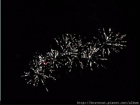 UNDAUER PARTY - Fireworks2.jpg