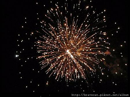 UNDAUER PARTY - Fireworks3.jpg