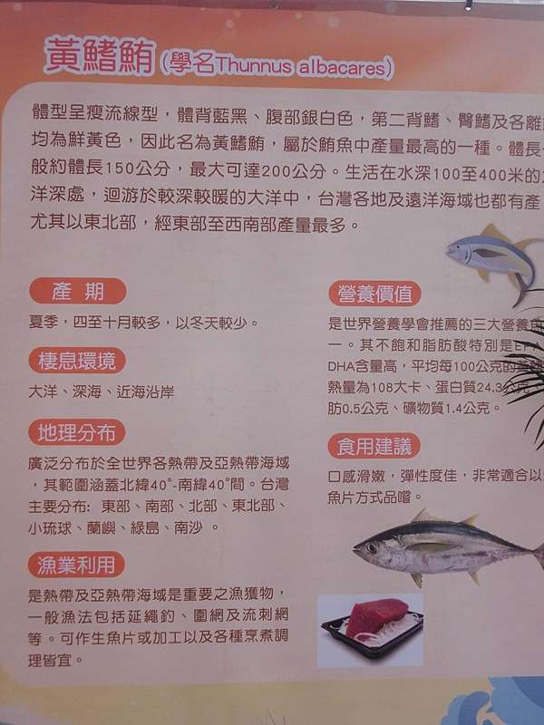 美味食記 鬼頭刀 黃鰭鮪澎湃海未上桌行銷記者會 Bravejim的部落格 痞客邦