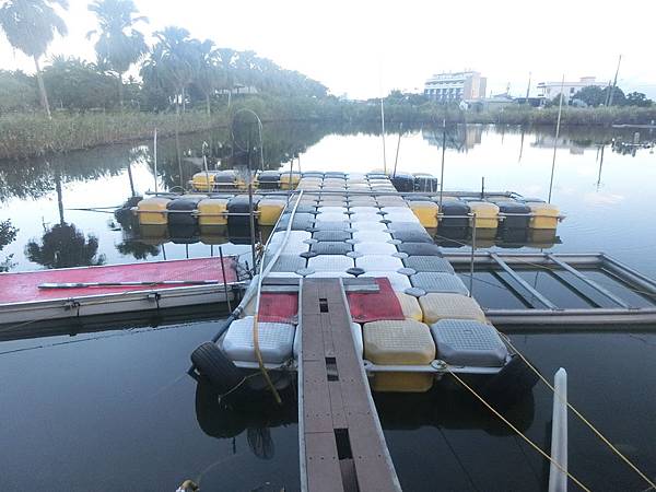 CIMG8030.JPG CIMG8030.JPG