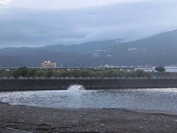 CIMG8074.JPG CIMG8074.JPG