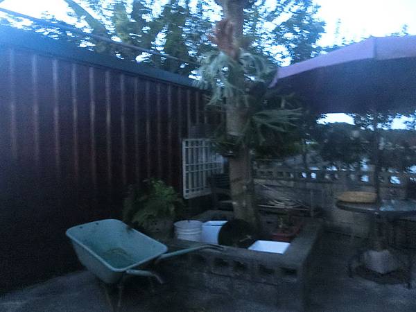 CIMG8081.JPG CIMG8081.JPG