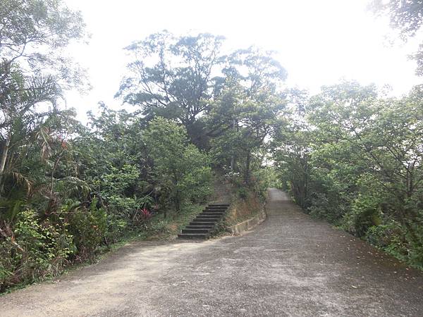 raw-image