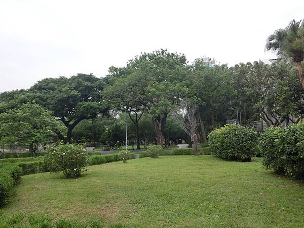 raw-image