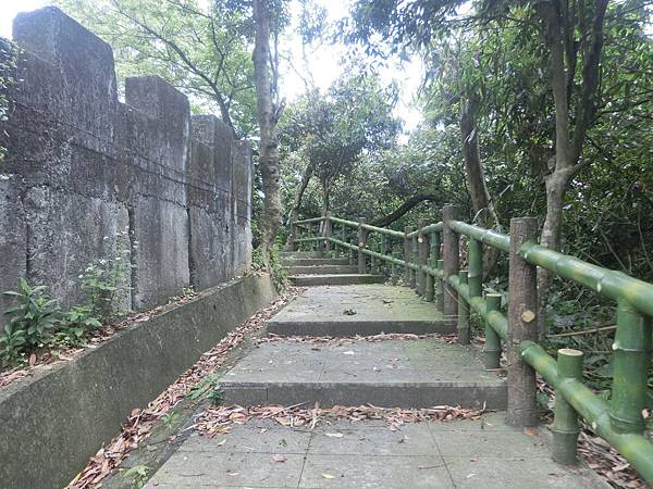raw-image