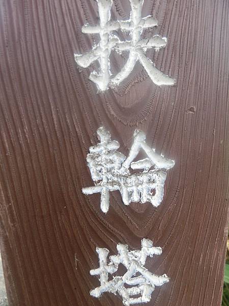 raw-image