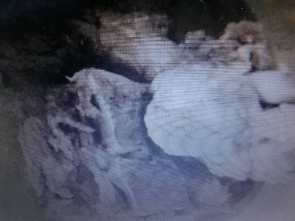 raw-image