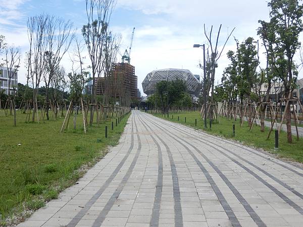 raw-image