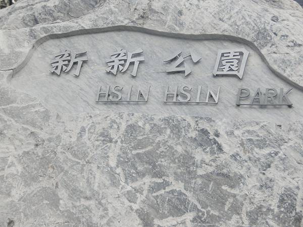 raw-image