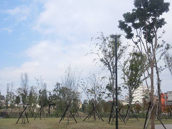 raw-image
