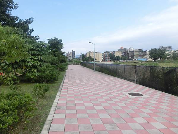 raw-image