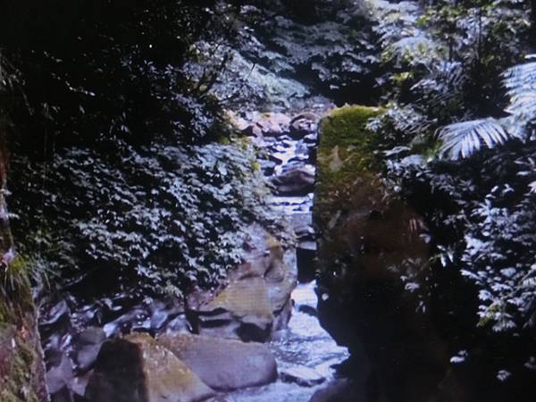 raw-image