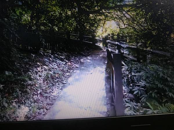raw-image