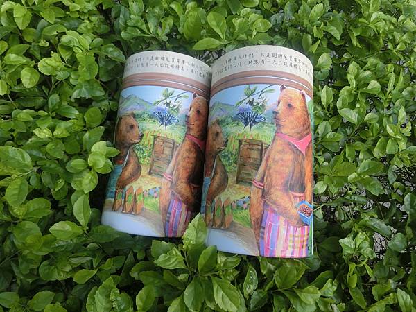 CIMG5271.JPG CIMG5271.JPG