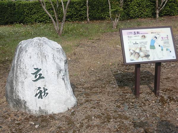 raw-image