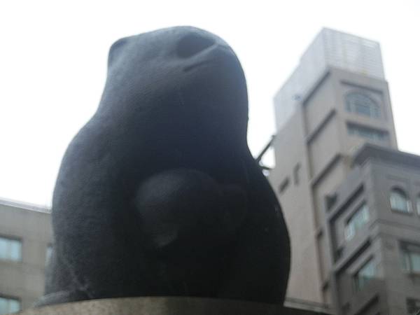 raw-image