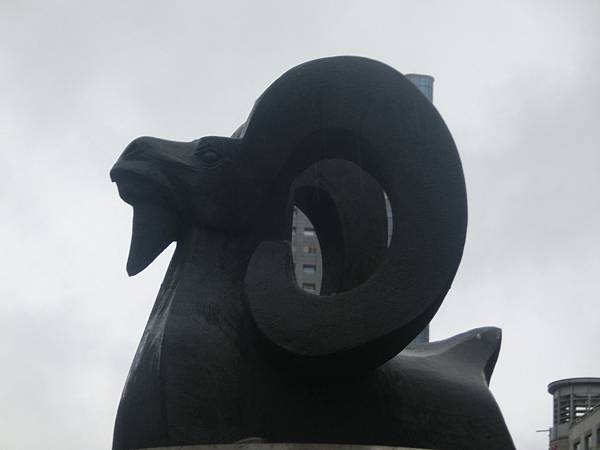 raw-image