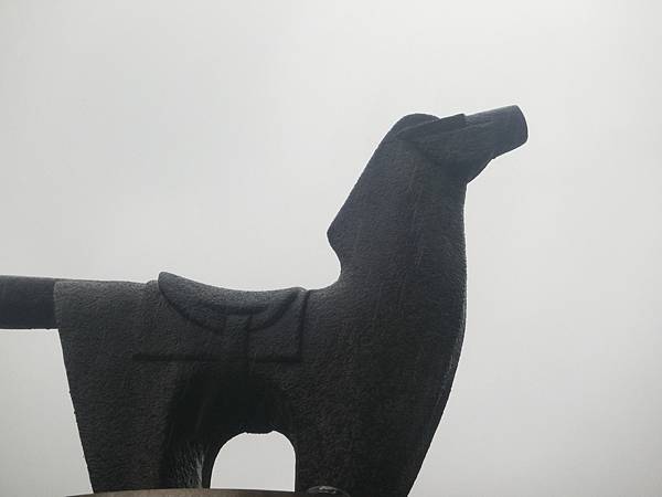 raw-image