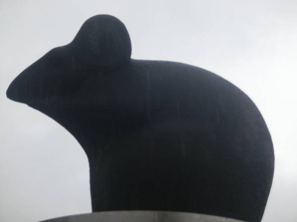 raw-image