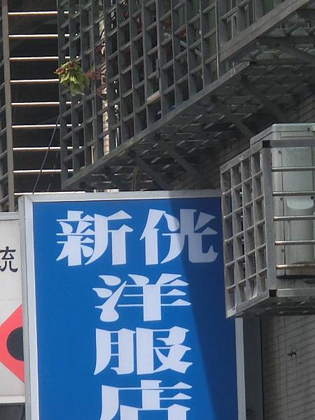 raw-image