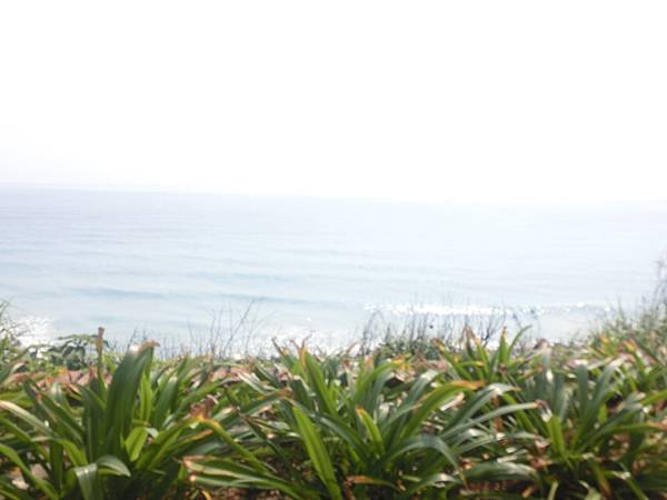 raw-image